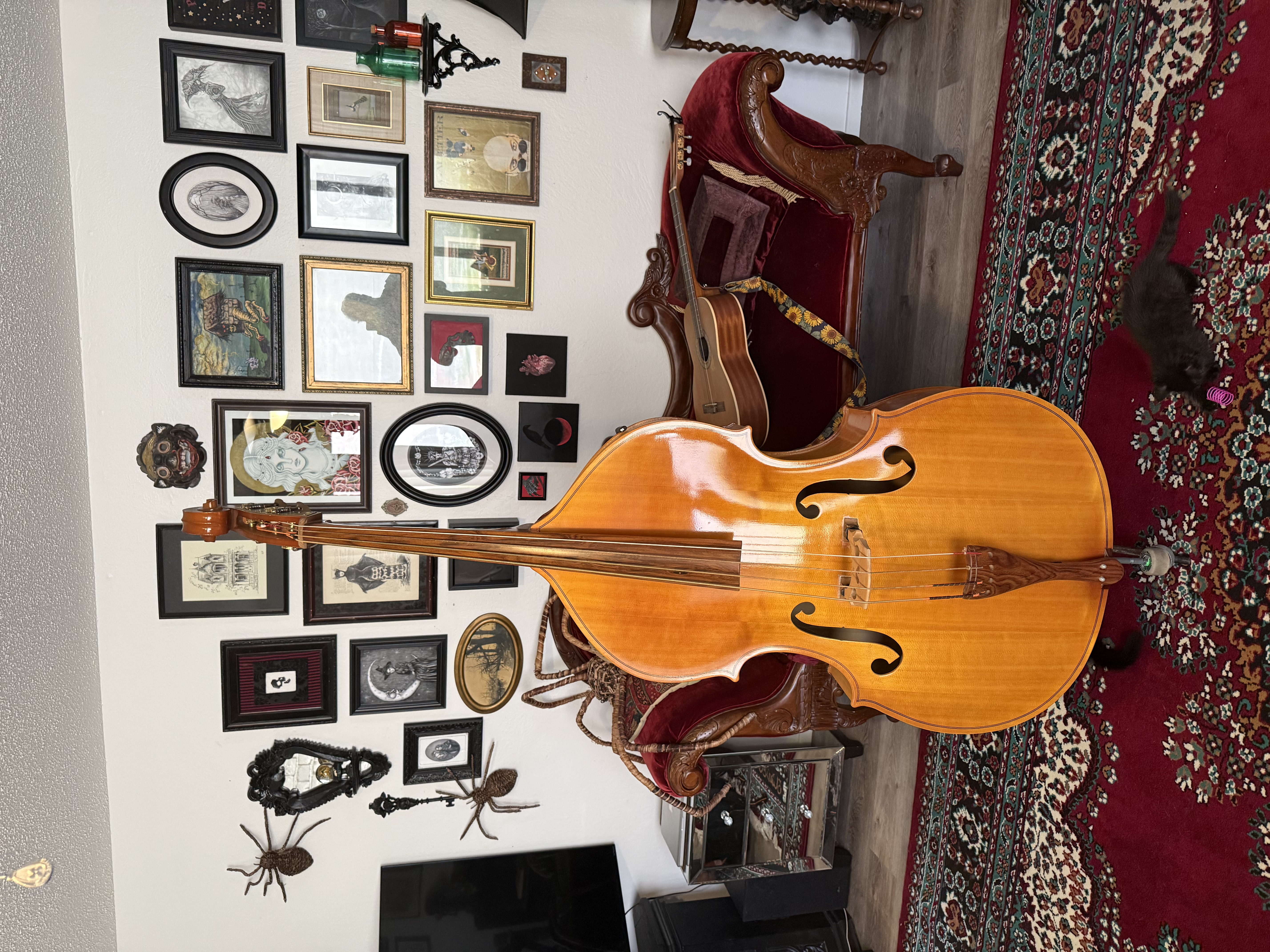 Bass for sale